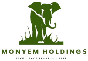 Monyem Holdings Logo